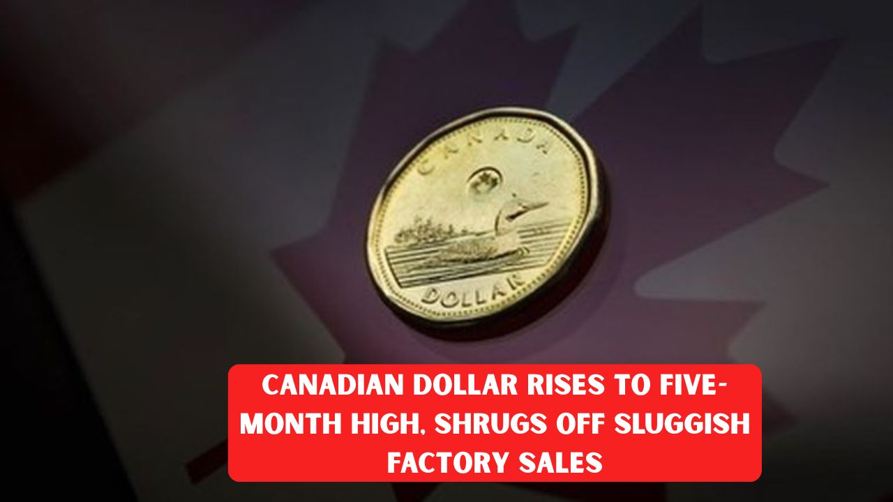 Canadian Dollar Rises to Five-Month High, Shrugs Off Sluggish Factory Sales